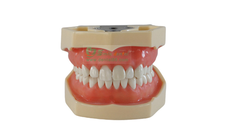 TM-A14 Standard Model